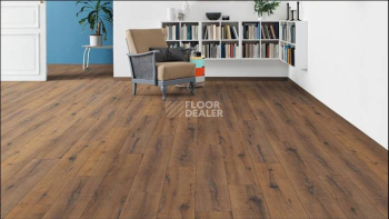 Haro Tritty 100 4V ДУБ ИТАЛИКА ДЫМЧАТЫЙ 530327 фото 3 | FLOORDEALER